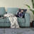 Outdoor Reversible Throw Pillow-99197857