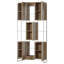 Thomas Bina Bookcase-189574362