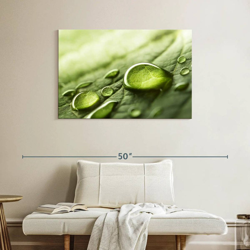 Harnek Dewdrops sur feuille verte, H 26 po x l 39 po
