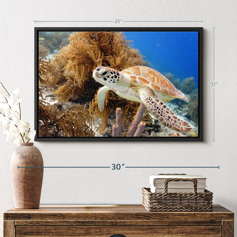 Turtle Reef Canvas Print, 17" H x 25" W