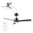 42 in. Ceiling Fan with LED Light, Remote Control, WhisperQuiet DC Motor, 6 Speeds, Reversible Blades-110941753