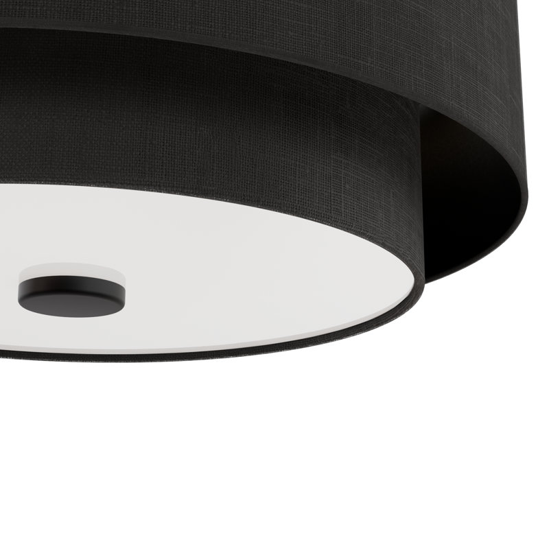 Hunter Brookside 2 Light Flush Mount Ceiling Light Fixture, Black, Matte Black