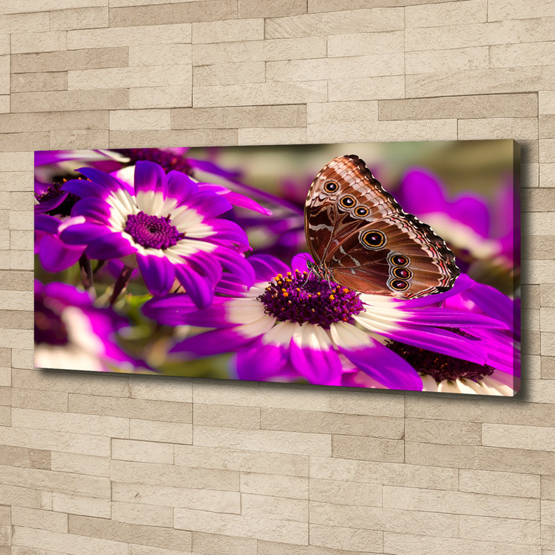 Butterfly On A Flower - Wrapped Canvas Print, Canvas, 50cm H x 125cm W 