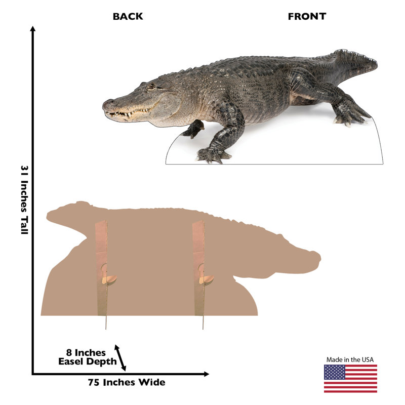 31'' Life-Size American Alligator Cardboard Standup