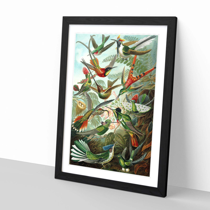Hummingbirds Vintage Framed Print, Black