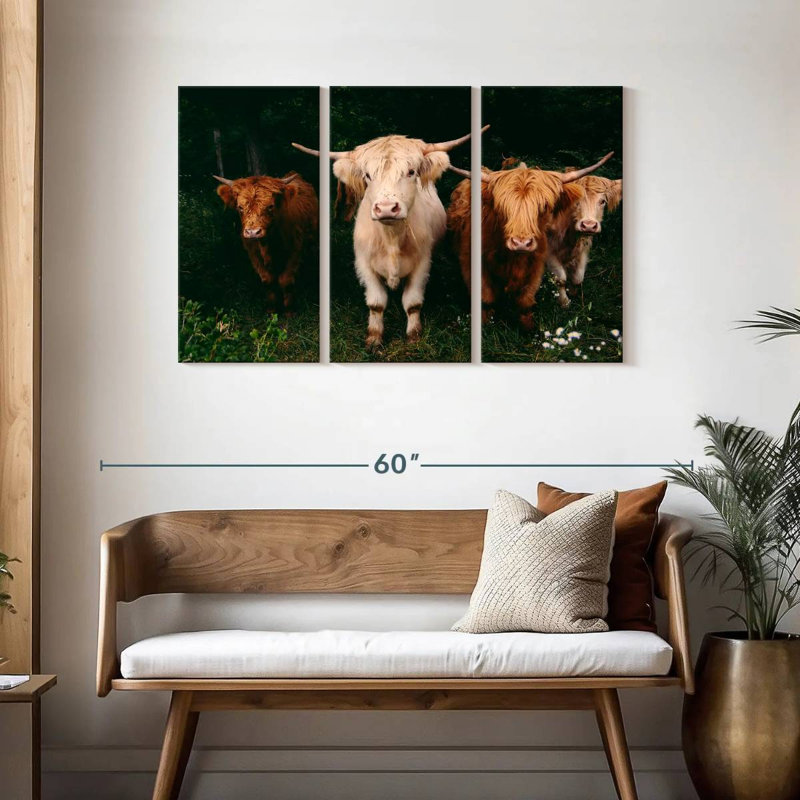 Light Haired Highland Cows, 28" H x 45" W