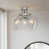 Brushed Nickel