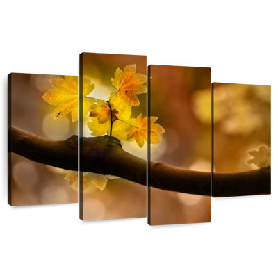 Harnek en automne I