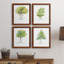 L'arbre I - ensemble de 4 reproductions d'art encadrées-1506622941-1506622915-1496819695