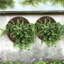 Pot de fleurs suspendu en polyrésine brun Markki - 12 po x 4 po x 11,5 po - ensemble de 4-1086404567