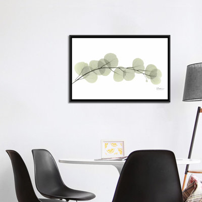 «Eucalyptus» par Albert Koetsier, reproduction sur toile