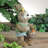 Easter Animals Figurines & Collectibles
