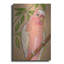  «Pink Parrot» par Bebe Keith, art mural en métal, 16 po x 24 po