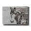 «Portrait of a Horse» par Irena Orlov, art mural sur toile-263427325