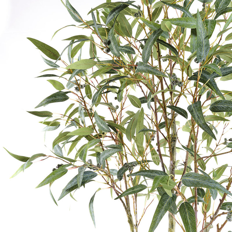 TREE 7FT Willow Eucalyptus KD