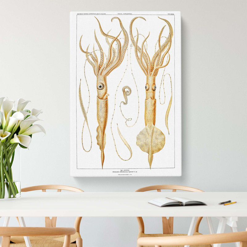 Squid Illustrations by Carl Chun - Wrapped Canvas Painting, 76cm H x 50cm W x 3cm D