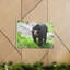 No Frame Print on Canvas-1538427004