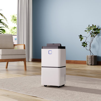 White Dehumidifier