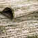 Green Cartago Indoor/Outdoor Modern Rug
