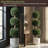 Primrue Set of Two Hedyotis Artificial Trees