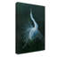 «Showing Egret» par Michael Jackson, reproduction sur toile-33539874