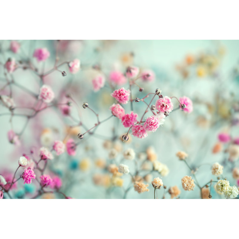«Baby's Breath On Canvas» par Smiltena, photographie, H 8 po x l 12 po x P 1,25 po