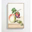 A Peach And Plum by E.G. Van De Kasteele - Wrapped Canvas Print-55301094