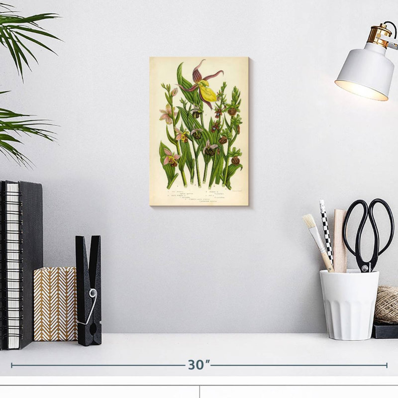 Orchidées sauvages Keiri, H 12 po x l 8 po