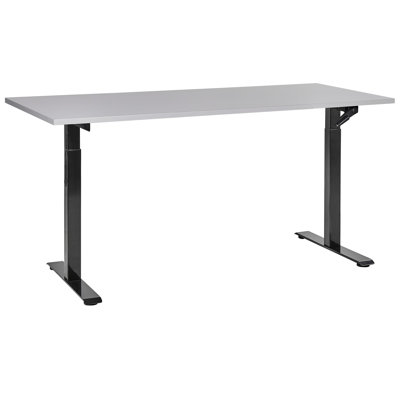 Nateasha Adjustable Height Steel Standing Desk