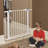 MidWest Homes for Pets Gate/ Walk-thru Steel Pet Gate-22329566-22329569