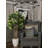 81'' Faux Palm Tree in Fiberstone Vase
