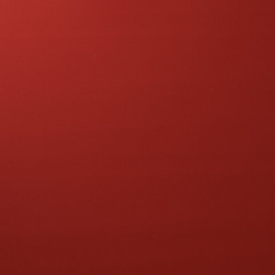 Vegan Leather Indoor/Outdoor Fabric