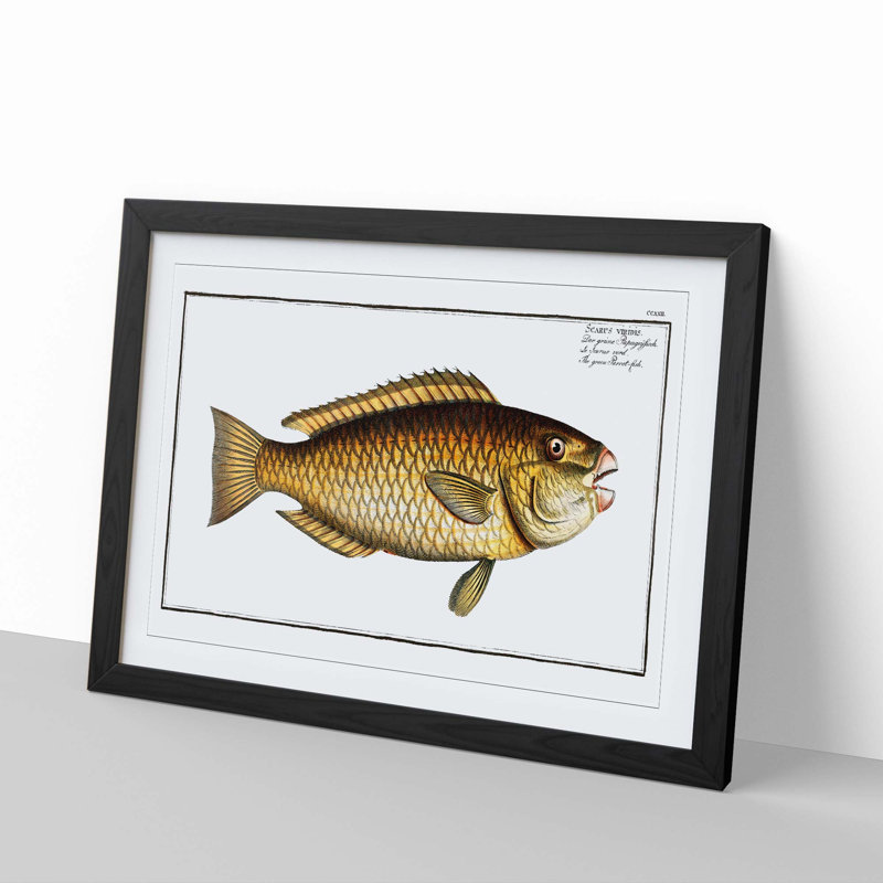 Green Parrot-Fish by M.E. Bloch - Picture Frame Painting Print, Black Framed, 27cm H x 36cm W x 2cm D