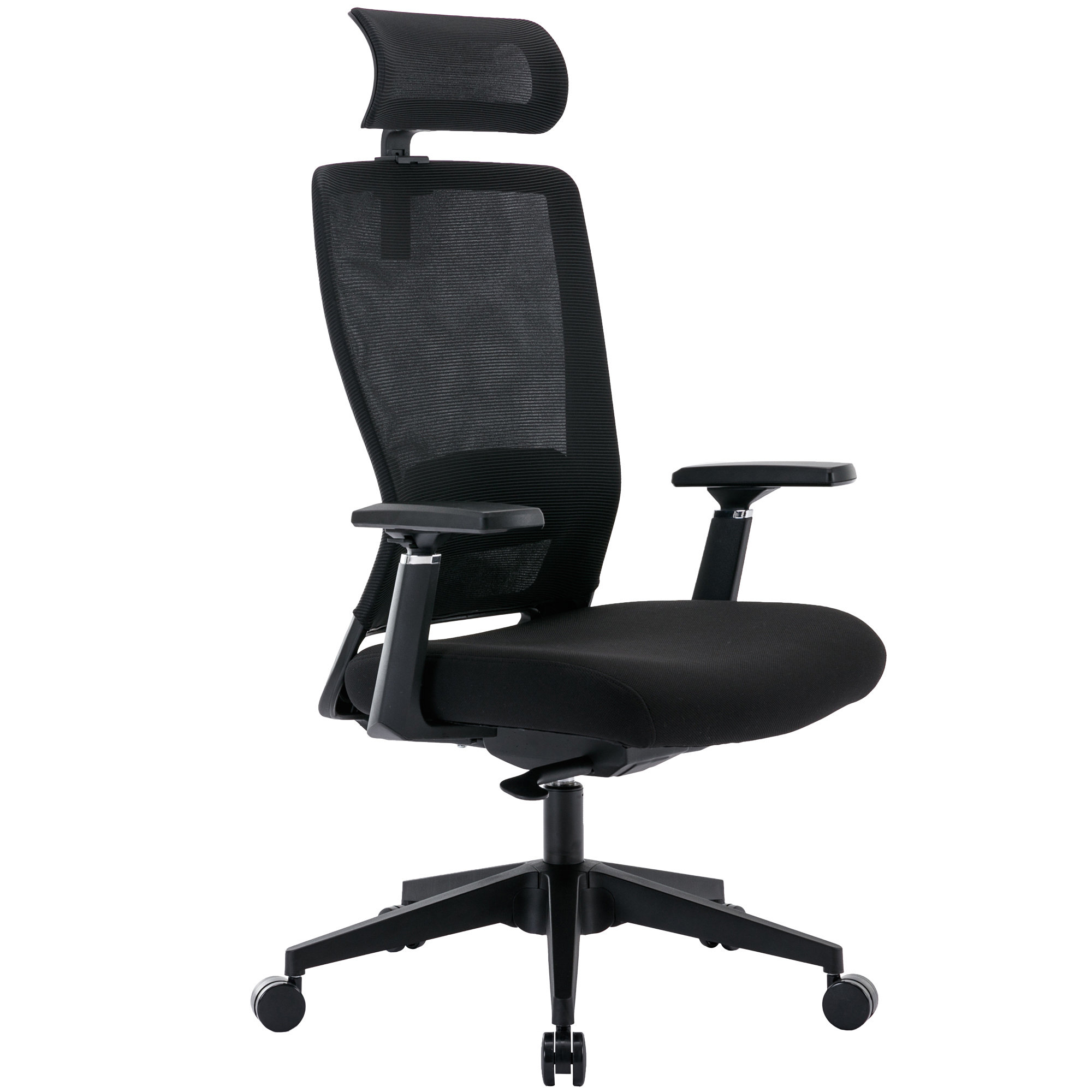 Inbox Zero Latashia Ergonomic Office Chair Mesh Big and Tall