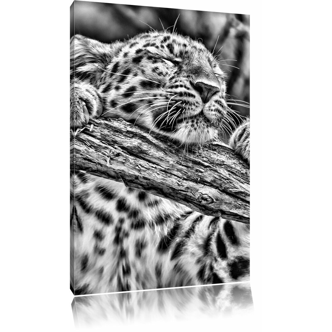 Leinwandbild Verspielter Leopard in Monochrom