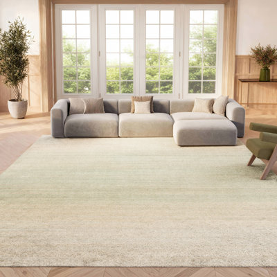 Tapis de couleur unie Haileyjo Performance
