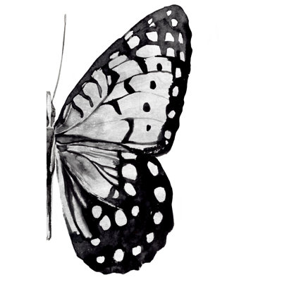 Monochrome Wings II - Wrapped Canvas Painting