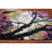 Transitional Oriental Area Rug 6x9