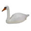Statue de cygne flottant 
