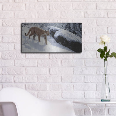 " Soft Snow-Cougar " by Ron Parker
