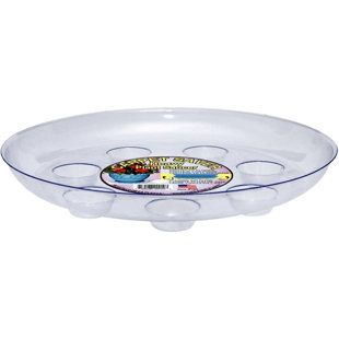 Saucer Plant Stand