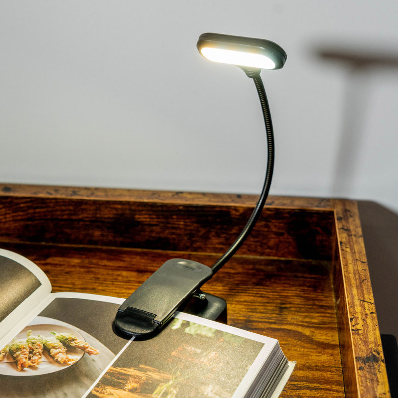 Qualesha Metal Clip On Lamp