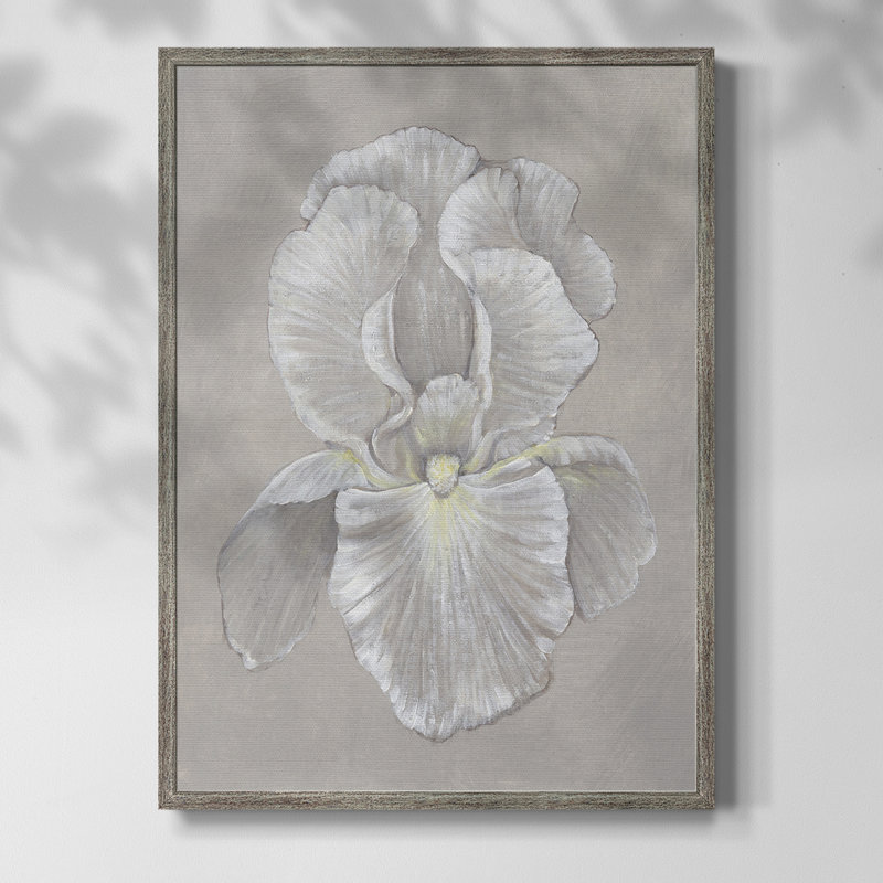 White Iris II, reproduction encadrée - bois massif, H 11 po x l 9 po