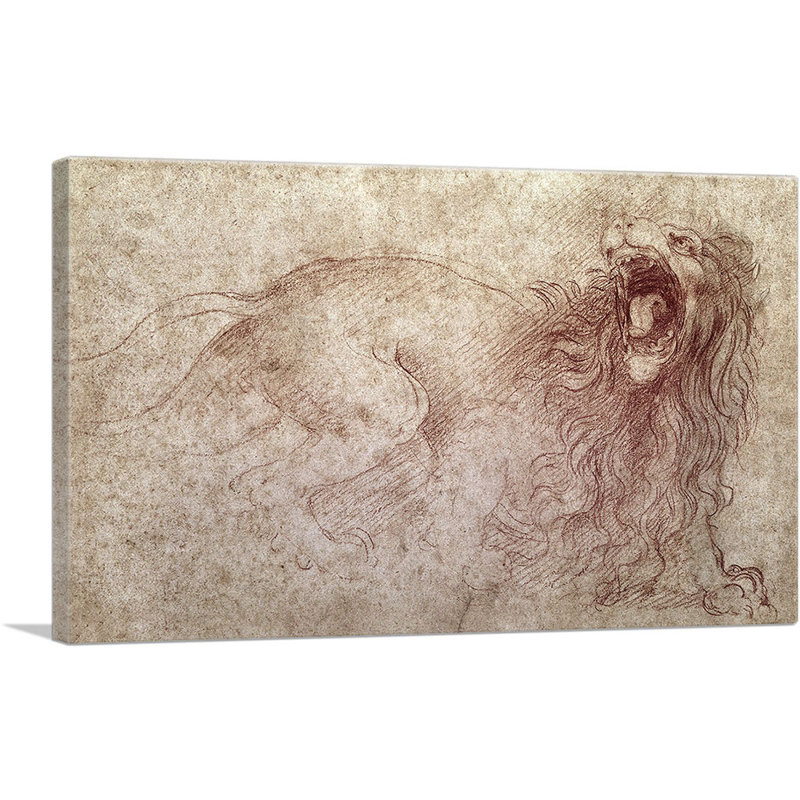 Esquisse d'un lion rugissant - impression, H 12 po x l 18 po x P 0,75 po