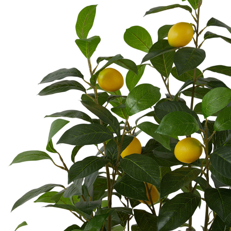 115cm Faux Lemon Plant in Planter