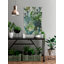 1 Piece Wrapped Canvas Wall Art-1562448061