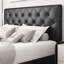 Upholstered Storage Bed-821478818-821478828