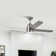 Birta 54'' Ceiling Fan with LED Lights