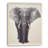 " Africa Elephant II "