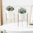 Metal Plant Stand-905671810-905671821